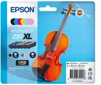 INKTCARTRIDGE EPSON 250XL T16P84 ZWART