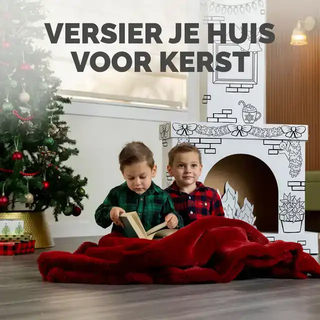 KARTONNEN OPENHAARD XL BANKERS BOX PLAY