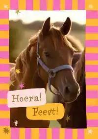 WENSKAART HALLMARK UITNODIGING PAARDEN