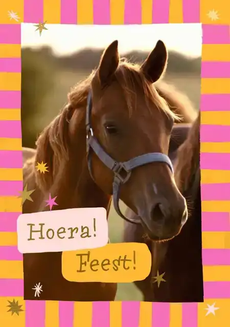 WENSKAART HALLMARK UITNODIGING PAARDEN
