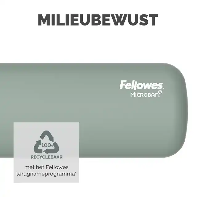 POLSSTEUN FELLOWES BREYTA PALM