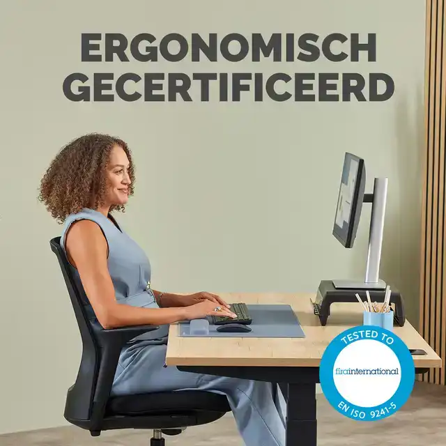 POLSSTEUN FELLOWES BREYTA PALM BLAUW