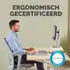 POLSSTEUN FELLOWES BREYTA PALM GRIJS