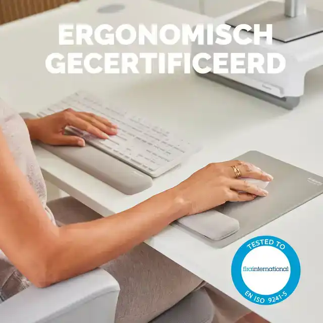 POLSSTEUN FELLOWES BREYTA ZAND