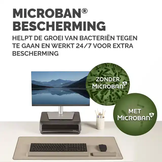 POLSSTEUN FELLOWES BREYTA PALM ZAND