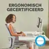 POLSSTEUN FELLOWES BREYTA PALM ZAND