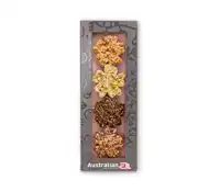 CHOCOLADE AUSTRALIAN BLOEMEN DOOS 4