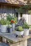 PLANTENPOT MICA COCO MET SCHOTEL ROND
