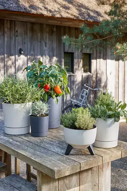 PLANTENPOT MICA COCO MET SCHOTEL ROND