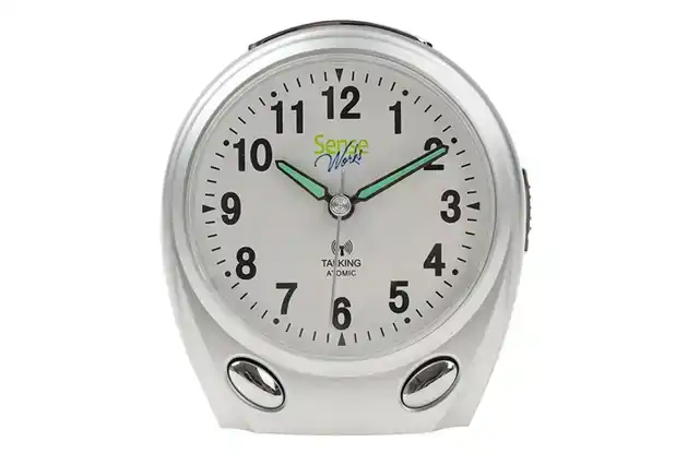 ALARMKLOK SENSEWORKS ZENDERGESTUURD