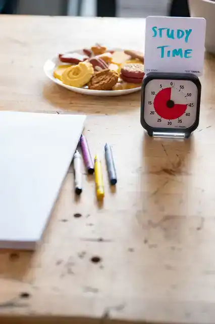 TIME TIMER ORIGINAL POCKET