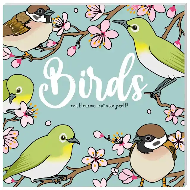 KLEURBOEK INTERSTAT BIRDS