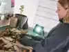 WERKLAMP RAPID THE PORTABLE