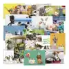 BELONINGSPOSTER-KAART DE STULP DIEREN
