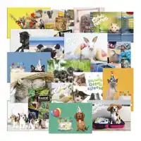 BELONINGSPOSTER-KAART DE STULP DIEREN