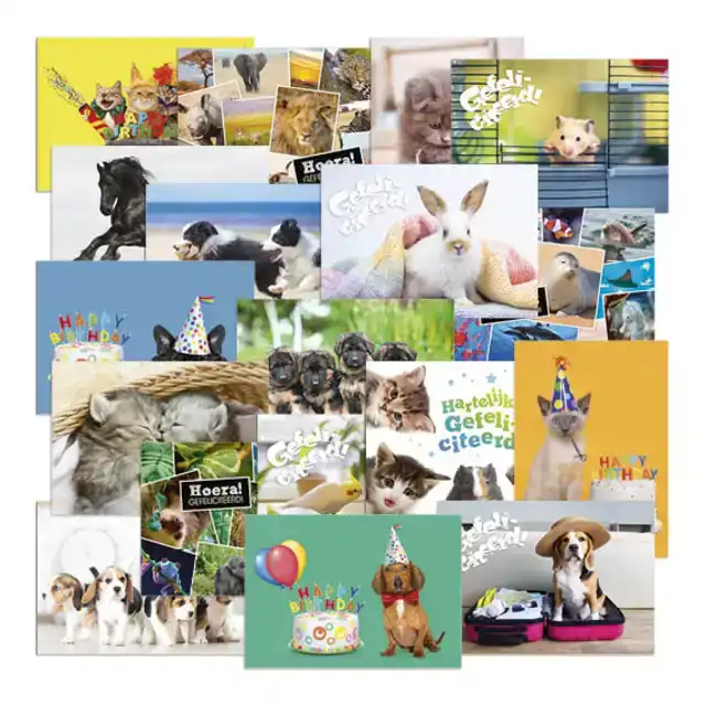 BELONINGSPOSTER-KAART DE STULP DIEREN