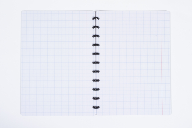 SCHRIFT KANGARO A4 RUIT 10MM 90G ASS 3