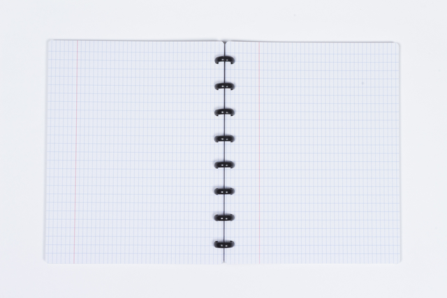 SCHRIFT KANGARO 169X213MM RUIT 4X8MM