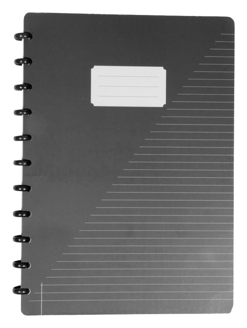 SCHRIFT KANGARO A4 LIJN 90G ASSORTI 3