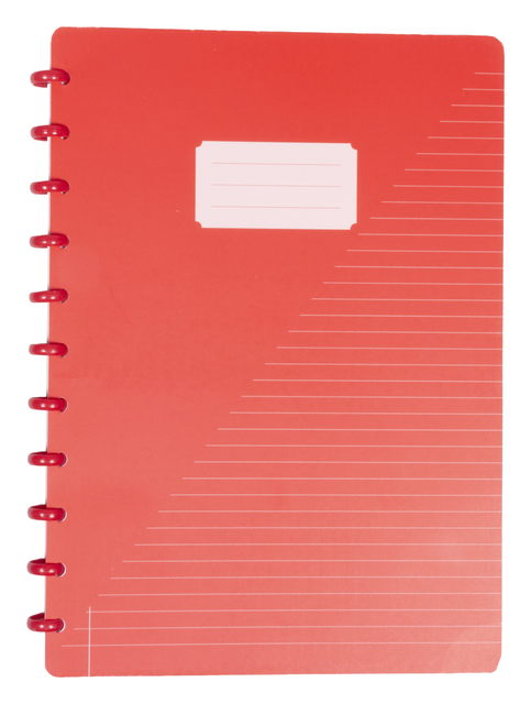 SCHRIFT KANGARO A4 LIJN 90G ASSORTI 3