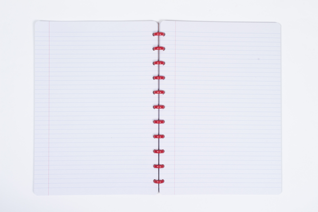 SCHRIFT KANGARO A4 LIJN 90G ASSORTI 3