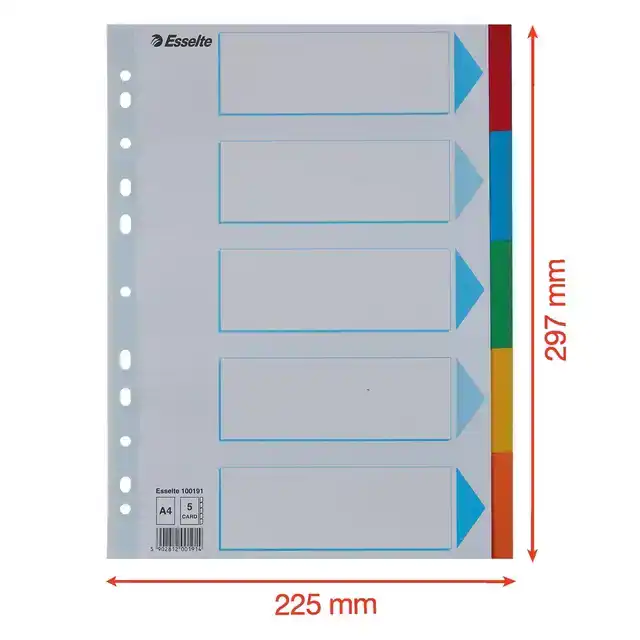 TABBLADEN ESSELTE STAND A4 5DLG KARTON