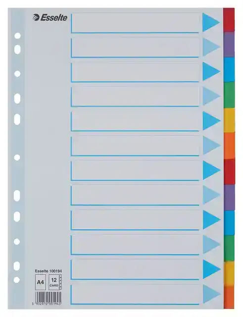 TABBLADEN ESSELTE STAND A4 12DLG KARTON