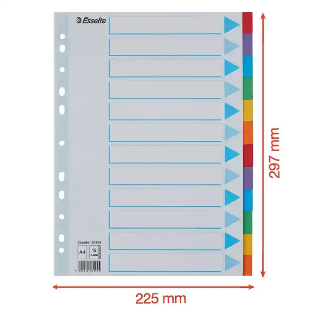 TABBLADEN ESSELTE STAND A4 12DLG KARTON