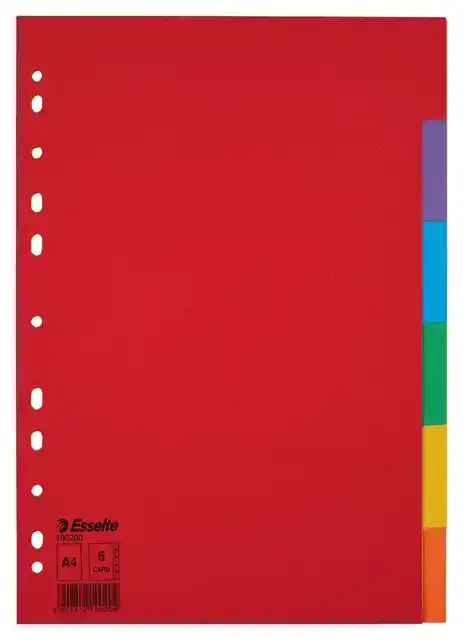TABBLADEN ESSELTE ECONOMY A4 6DLG