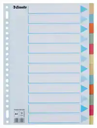 TABBADEN ESSELTE PREMIUM A4 12DLG