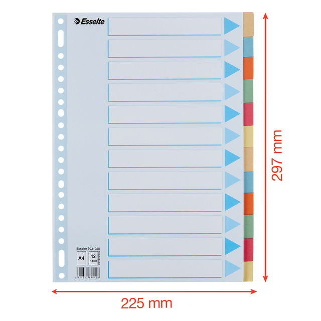 TABBADEN ESSELTE PREMIUM A4 12DLG