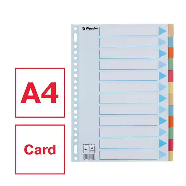 TABBADEN ESSELTE PREMIUM A4 12DLG
