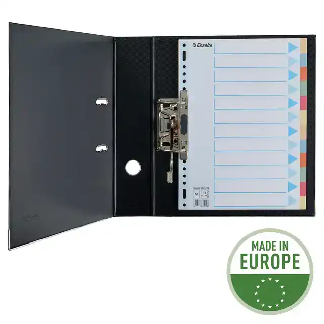 TABBADEN ESSELTE PREMIUM A4 12DLG