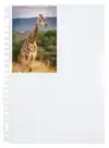 FOTOTAS MULTO A4 23R 10X15CM PP 4VAK TR