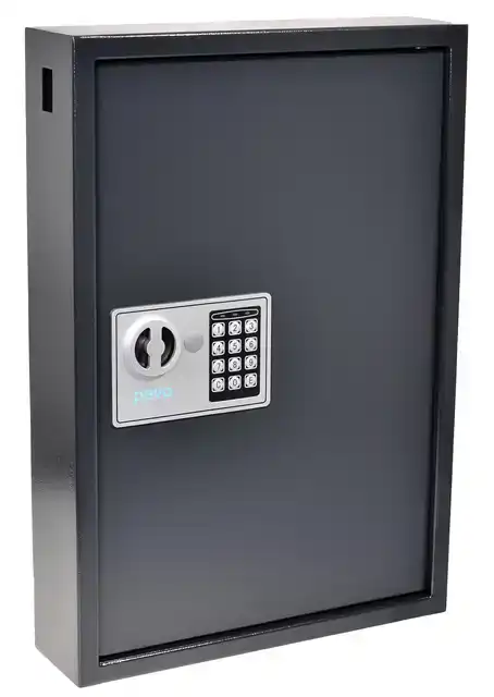 SLEUTELKAST PAVO SECURITY 50 HAKEN
