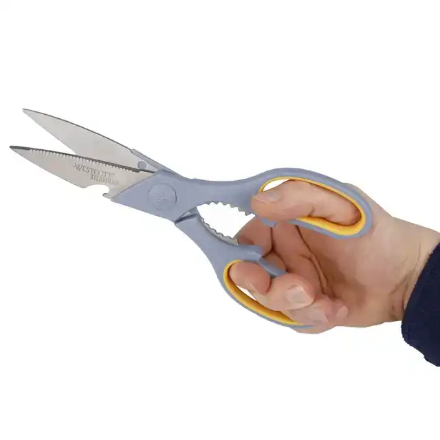 KANTOORSCHAAR WESTCOTT 210MM TITANIUM