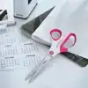 SCHAAR LEITZ WOW 205MM TITANIUM ROZE