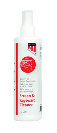 REINIGINGSSPRAY QUANTORE 250ML