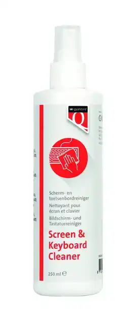 REINIGINGSSPRAY QUANTORE 250ML