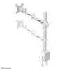MONITORARM NEOMOUNTS D935 10 30 INCH