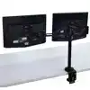 MONITORARM FELLOWES VISTA DUBBEL ZWART