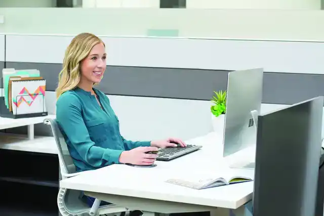 ERGONOMISCHE MUIS FELLOWES PENGUIN DRL