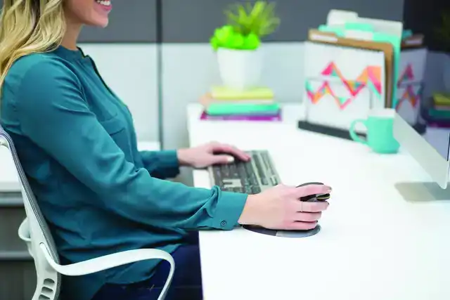 ERGONOMISCHE MUIS FELLOWES PENGUIN DRL