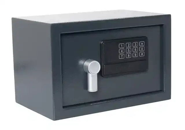 KLUIS PAVO 310X200X200MM ELEKTRONISCH