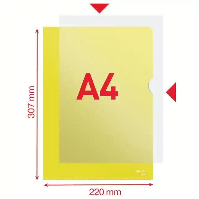 L-MAP ESSELTE STANDAARD A4 0.11MM PP