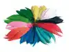 INDIANEN VEREN FOLIA ASSORTI
