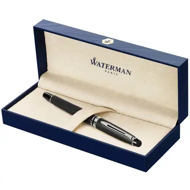 VULPEN WATERMAN EXPERT CT M MAT ZWART