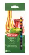 OLIEPASTEL DERWENT ACADEMY ASS