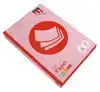 KOPIEERPAPIER QUANTORE COLOUR A4 160GR