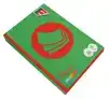 KOPIEERPAPIER QUANTORE COLOUR A4 120GR